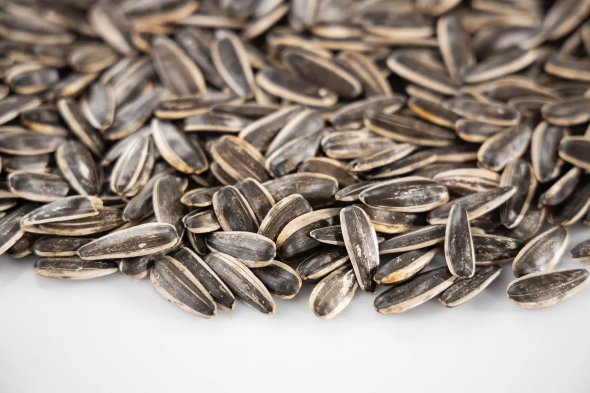 Sjemenke suncokreta za zdravlje: Čuvaju srce, kosti i štite od raka